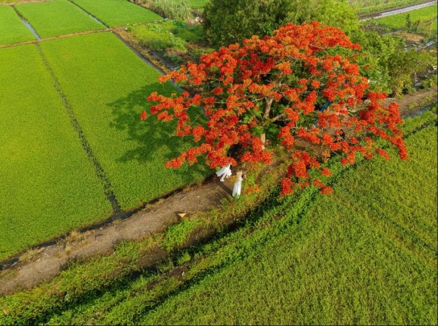 Nhặt những tháng năm