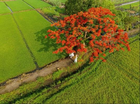 Nhặt những tháng năm