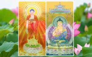 Đừng để sự hoang mang khiến mình sợ tu