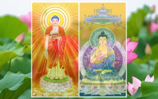 Đừng để sự hoang mang khiến mình sợ tu