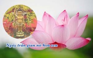 Ngày trần gian nở hoa sen