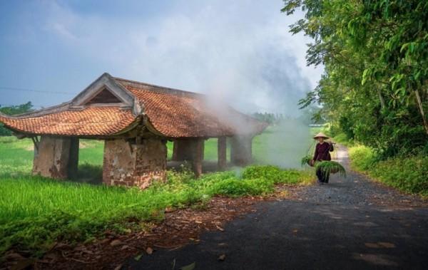 Chọn một nẻo về