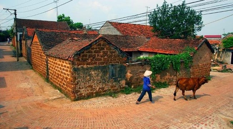H&igrave;nh mang t&iacute;nh minh họa. Nguồn: Internet