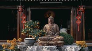Bộ câu hỏi về "sở tri chướng"