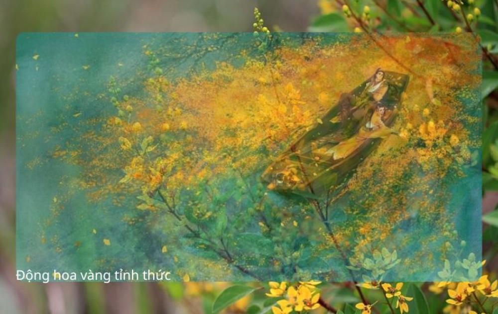 Động hoa vàng tỉnh thức