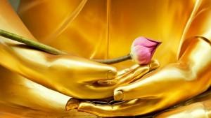 Kinh Hoa Nghiêm Đại Phương Quảng Phật tóm lược (Quyển 22)