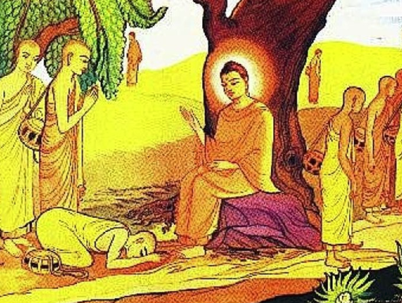 H&igrave;nh ảnh chỉ mang t&iacute;nh chất minh hoạ (sưu tầm).