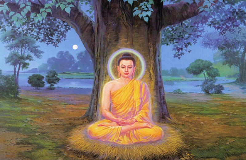 Ảnh sưu tầm