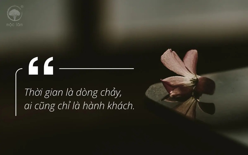 H&igrave;nh minh họa. Nguồn: Internet