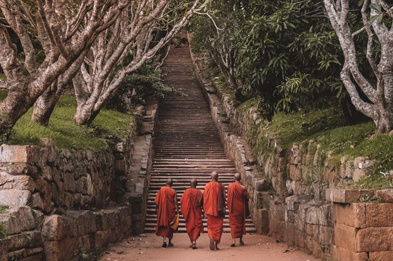 H&igrave;nh ảnh chỉ mang t&iacute;nh chất minh hoạ (sưu tầm).