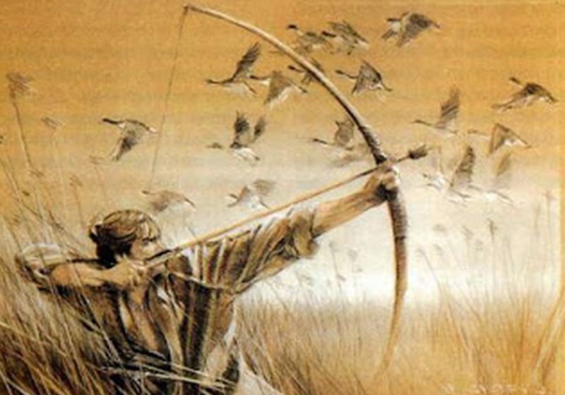 H&igrave;nh ảnh chỉ mang t&iacute;nh chất minh hoạ (sưu tầm).