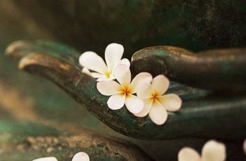 H&igrave;nh ảnh chỉ mang t&iacute;nh chất minh hoạ (sưu tầm).