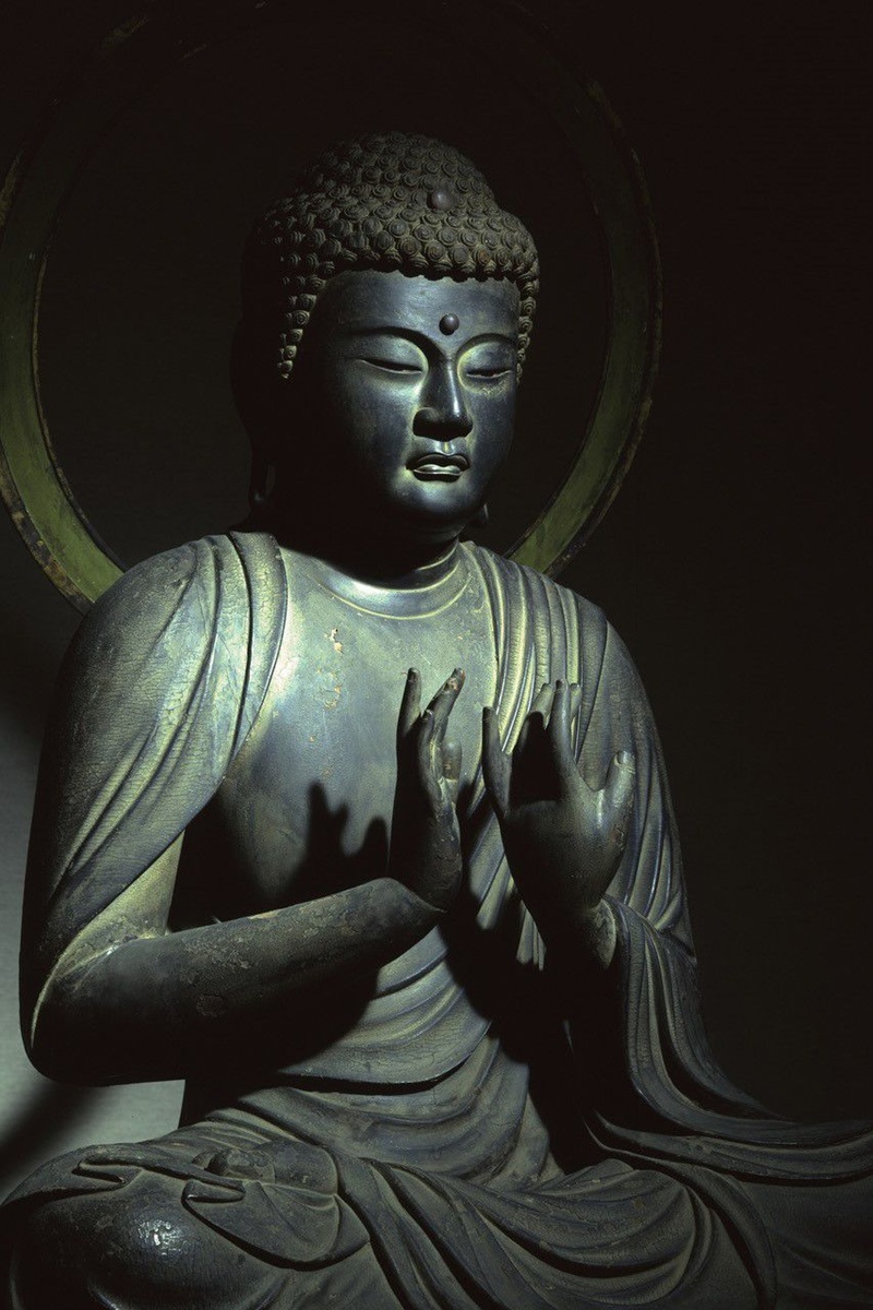 Tượng Đức Phật Th&iacute;ch Ca M&acirc;u Ni tại ch&ugrave;a Gokurakuji, nổi bật với ấn Chuyển Ph&aacute;p Lu&acirc;n (Dharmacakra Mudrā) hiếm gặp; b&agrave;n tay tr&aacute;i được tạo h&igrave;nh hơi xoay kh&aacute;c thường. (Ảnh: &copy; Harada Hiroshi)