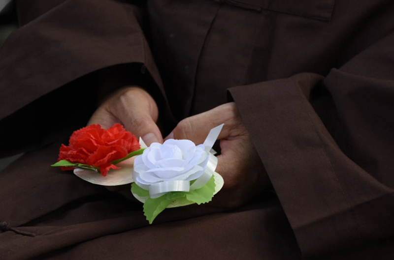 H&igrave;nh ảnh chỉ mang t&iacute;nh chất minh hoạ (sưu tầm).