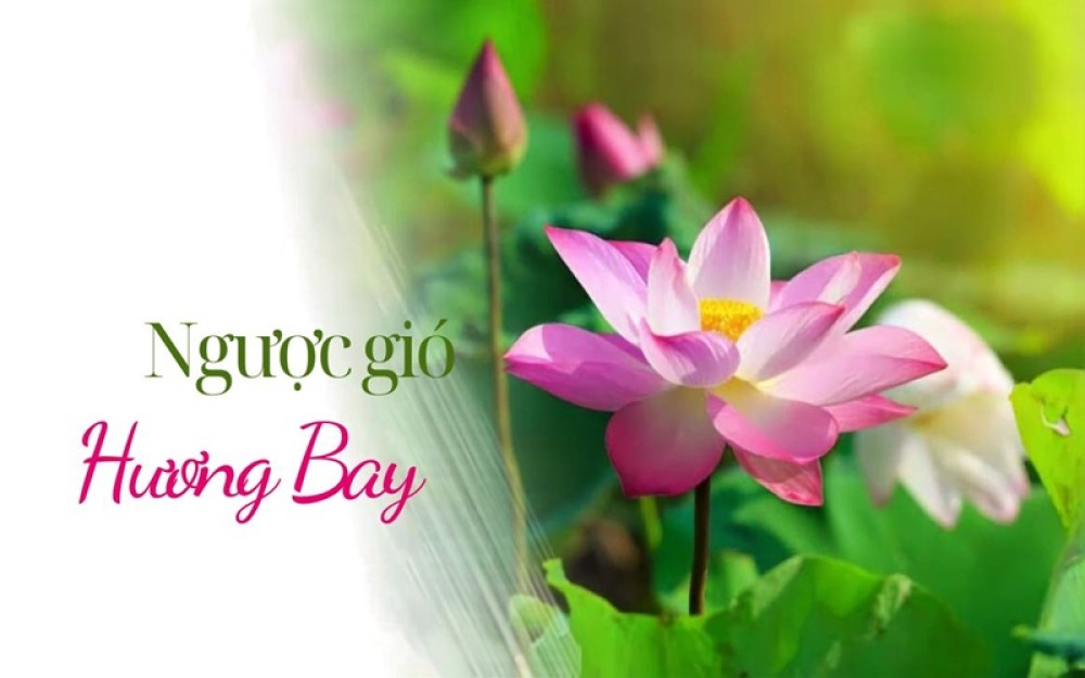 Ngược gió hương bay