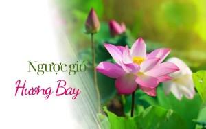 Ngược gió hương bay