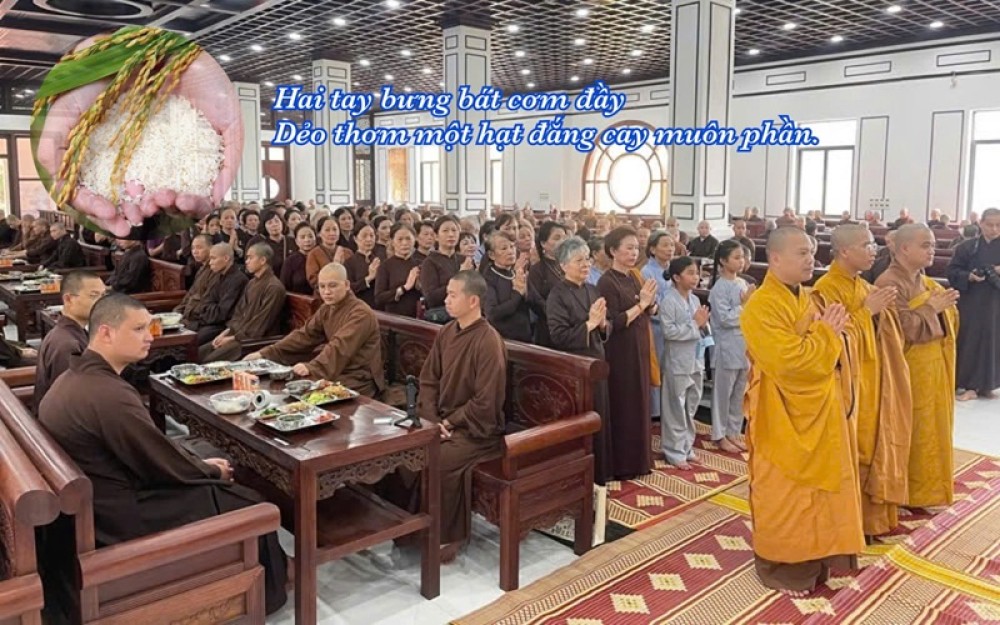 Học về lòng biết ơn từ… hạt gạo