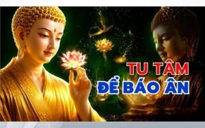 Tu tâm để báo ân là con đường cao quý