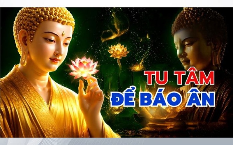 Tu tâm để báo ân là con đường cao quý