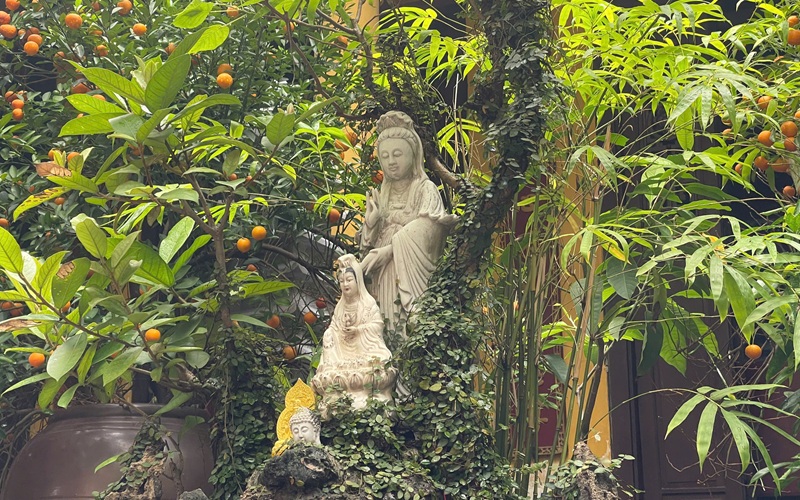 H&igrave;nh mang t&iacute;nh minh họa. Ảnh: Thường Nguy&ecirc;n