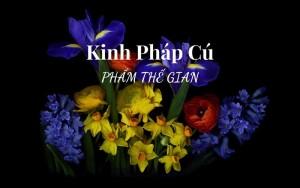Chính hạnh dưới ánh sáng vô ngã trong phẩm Thế gian thuộc Kinh Pháp Cú