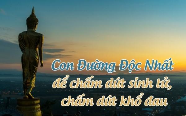Con Đường Độc Nhất để chấm dứt sinh tử, chấm dứt khổ đau