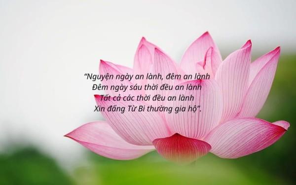 Những câu Kinh bình yên trong tâm hồn