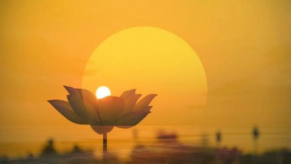 Bộ câu hỏi về lễ "Vu Lan"