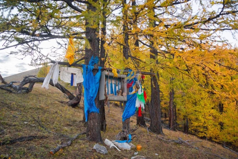 Một b&agrave;n thờ mang yếu tố Shaman gi&aacute;o trong khu rừng gần hồ Khuvsgul, M&ocirc;ng Cổ. (Ảnh: Yury Birukou / Alamy Stock Photo).