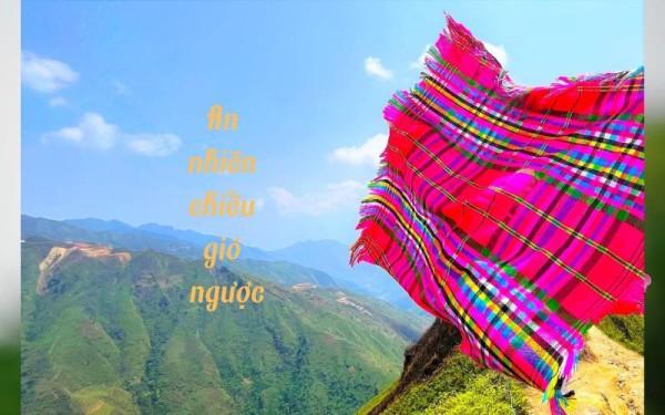 An nhiên chiều gió ngược