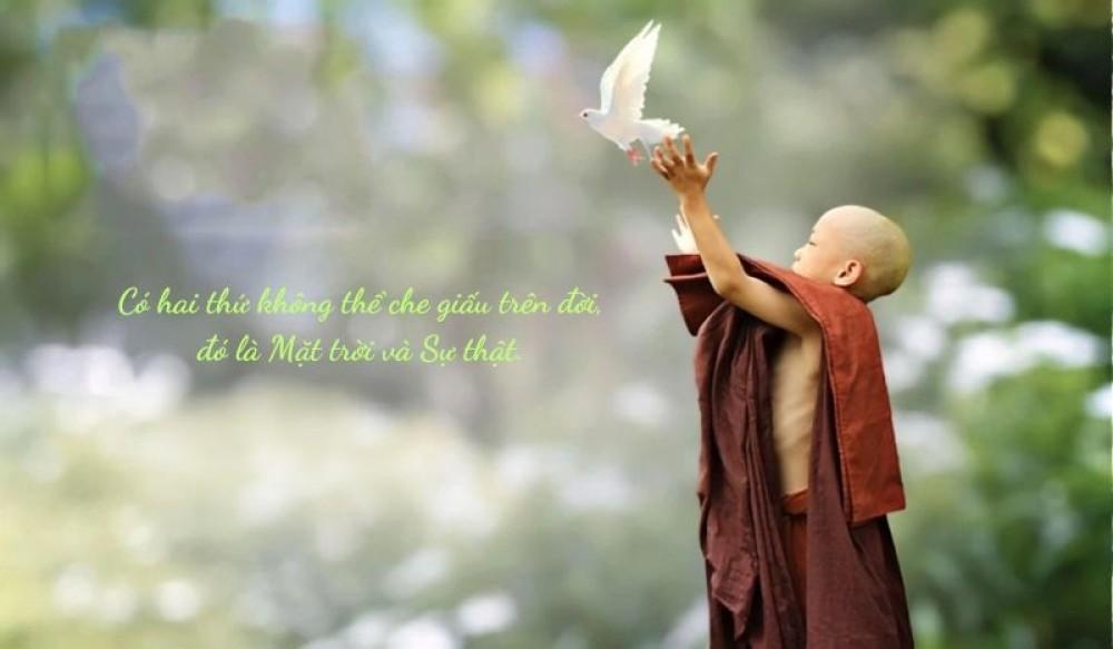 Từ bi không chỉ bằng lời nói