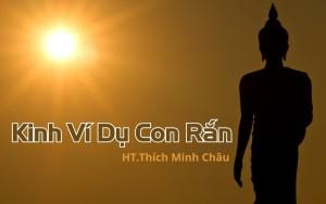 Kinh Ví Dụ Con Rắn