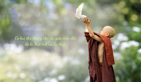 Từ bi không chỉ bằng lời nói