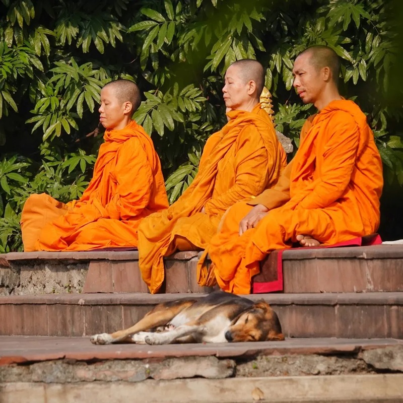 Đời sống xuất ly l&agrave; m&ocirc; h&igrave;nh tu tập nguy&ecirc;n thủy | Ảnh do BJ Graff cung cấp