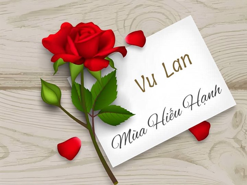 H&igrave;nh mang t&iacute;nh minh họa. Nguồn: Internet