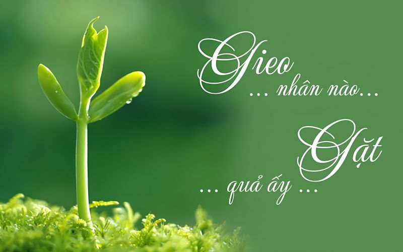 H&igrave;nh mang t&iacute;nh minh họa. Nguồn: Internet