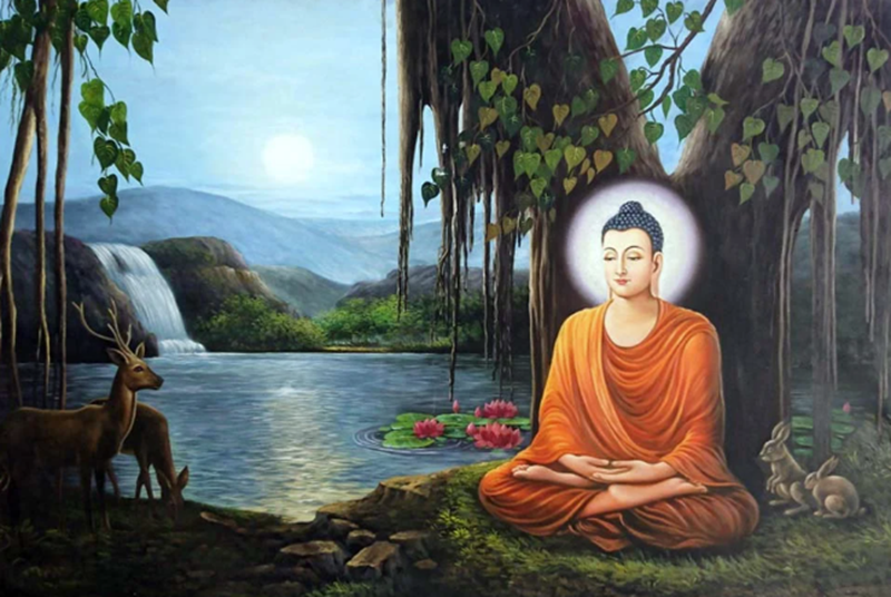 H&igrave;nh ảnh chỉ mang t&iacute;nh chất minh hoạ (sưu tầm)