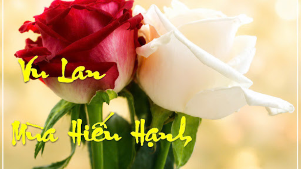 Vu lan Báo hiếu