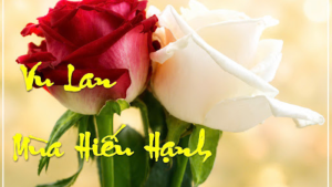 Vu lan Báo hiếu