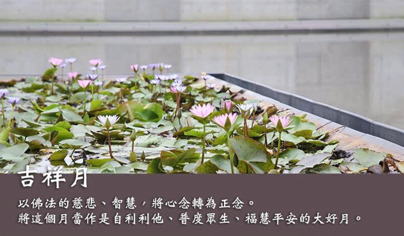 Ảnh sưu tầm