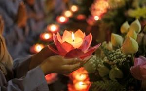 Cội rễ mùa Vu Lan