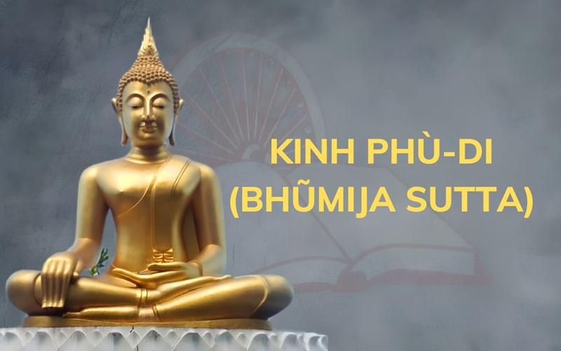 H&igrave;nh minh họa. Nguồn: Internet