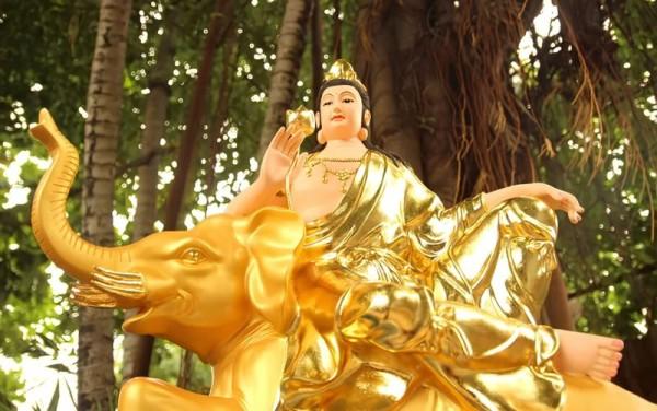Tư tưởng "huyễn" trong phẩm Phổ Hiền (Kinh Viên Giác) và ý nghĩa đối với đời sống hiện đại