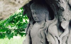 Phật pháp giữa cuộc đời
