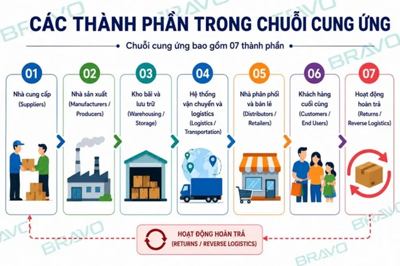 C&aacute;c th&agrave;nh phần trong chuỗi cung ứng. Ảnh: Tống Thị Thu&yacute;.