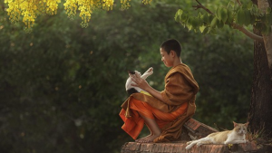 Từ bi không đồng nghĩa dung túng cho cái ác