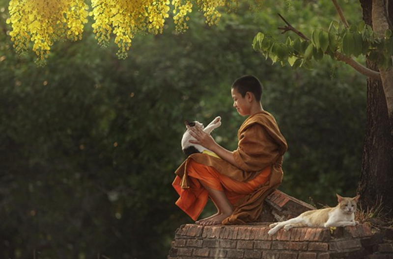 H&igrave;nh ảnh chỉ mang t&iacute;nh chất minh hoạ (sưu tầm).