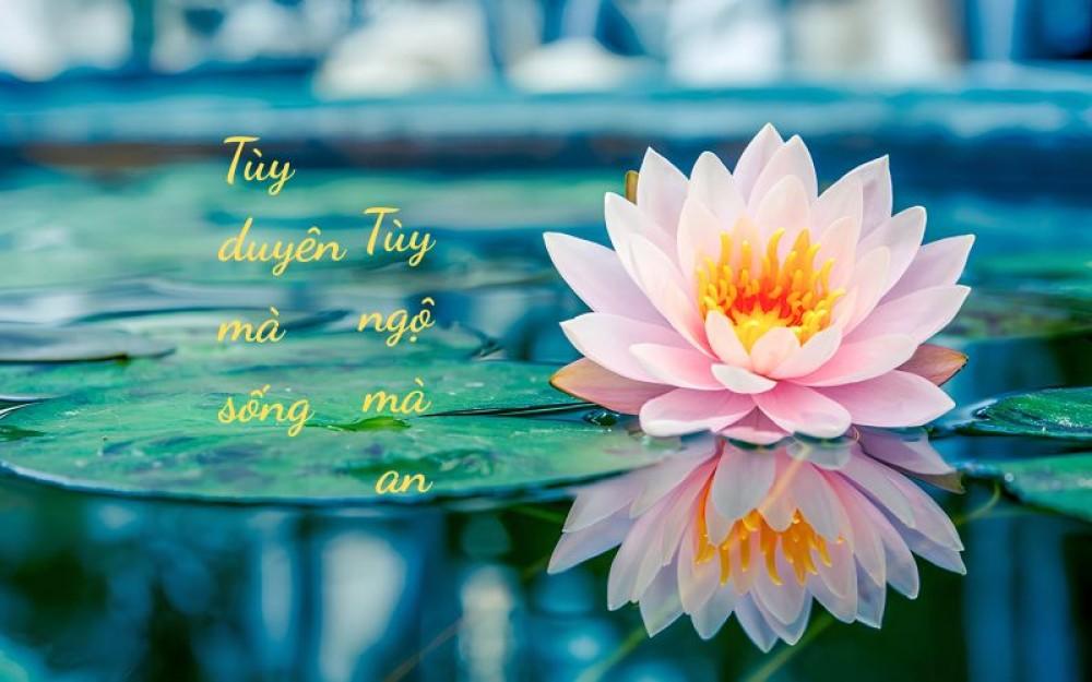 Tùy duyên mà sống - Tùy ngộ mà an