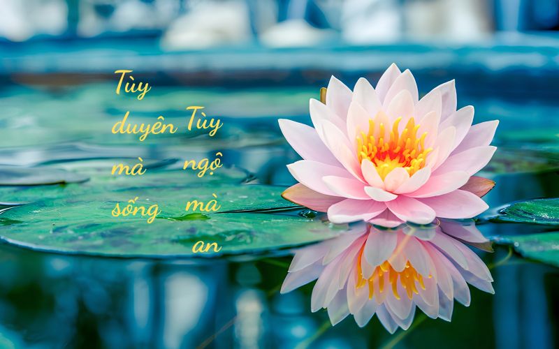 Tùy duyên mà sống - Tùy ngộ mà an